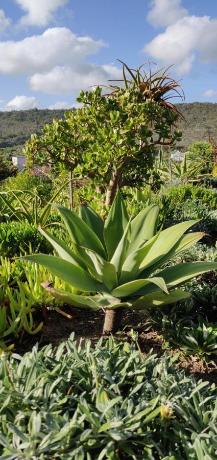 סדג'פילד Villa Tartaruga מראה חיצוני תמונה